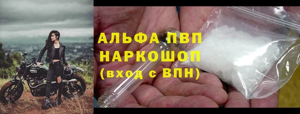 гидра Коряжма