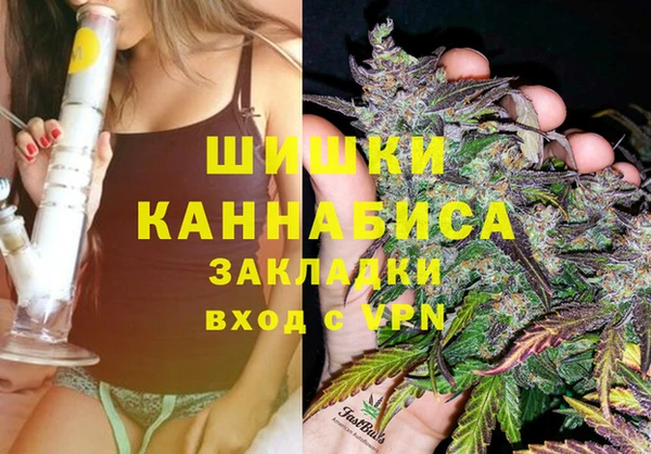 apvp Краснослободск