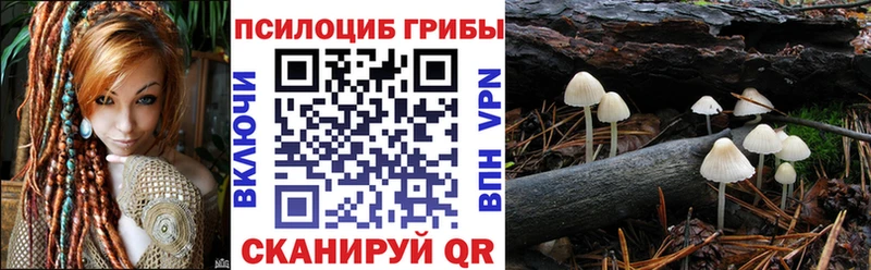 Купить  Опочка  Галлюциногенные грибы ЛСД 
